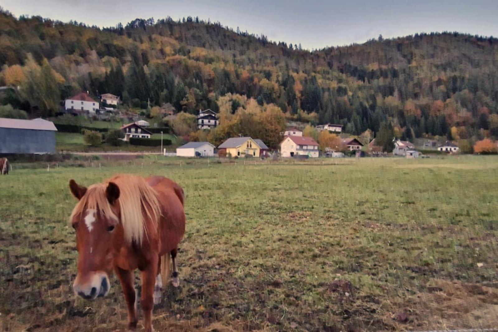 Villa Le Vivaldi, Au Coeur Du Massif Vosgien Avec Terrain De Petanque Rochesson Esterno foto