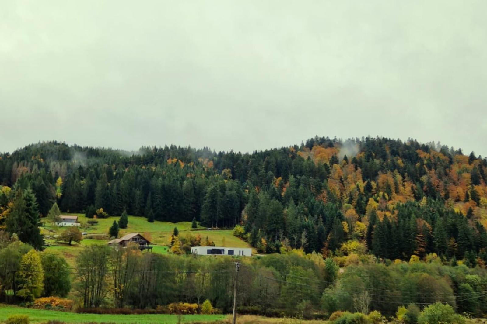 Villa Le Vivaldi, Au Coeur Du Massif Vosgien Avec Terrain De Petanque Rochesson Esterno foto